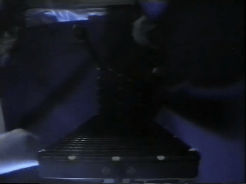 Rats navigating in microgravity aboard the Space Shuttle